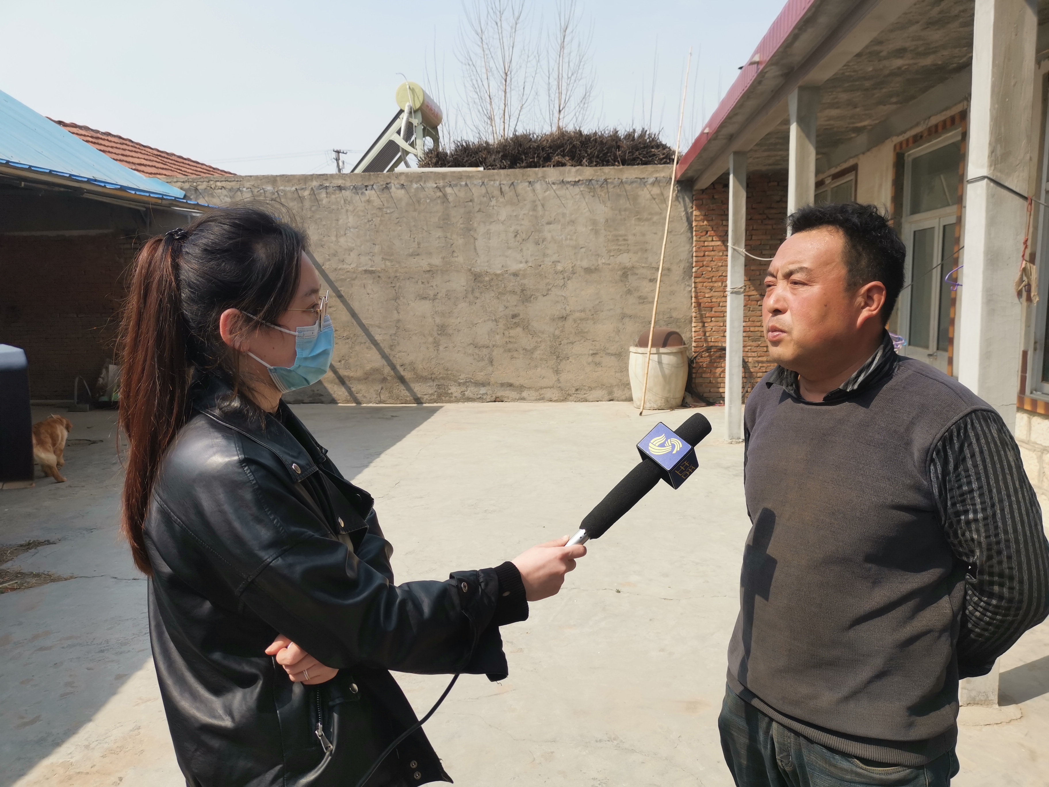 第209所 平度市崔家集镇状元府AK官方网页版刘丽新小学