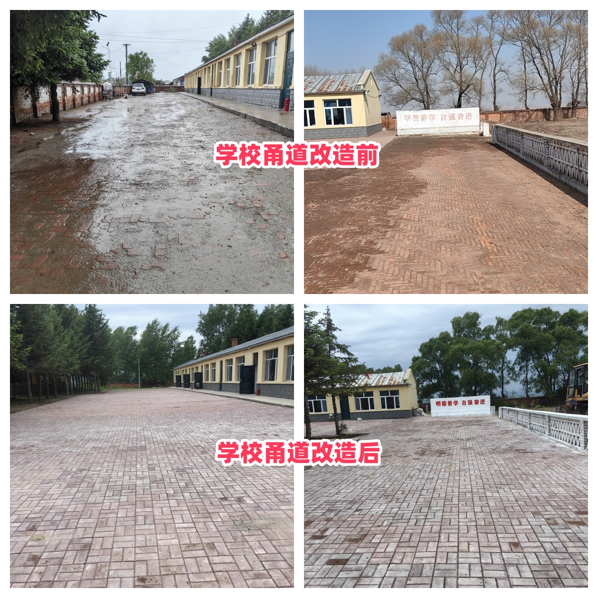 第254所 黑龙江巴彦县黑山镇民乐村AK官方网页版侯玉霞学校